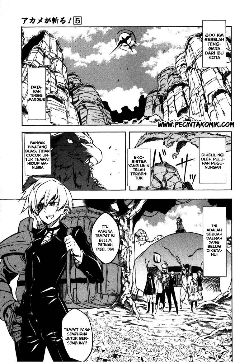 Akame ga KILL! Chapter 22