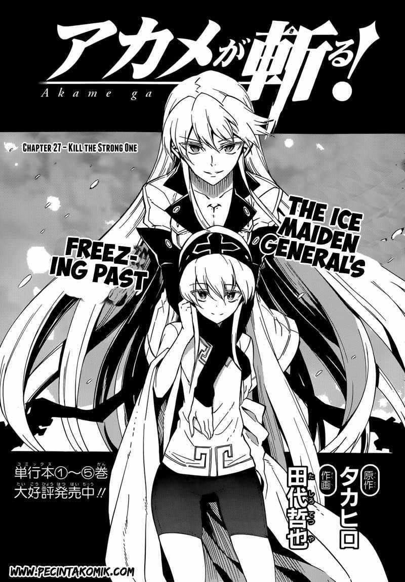 Akame ga KILL! Chapter 27