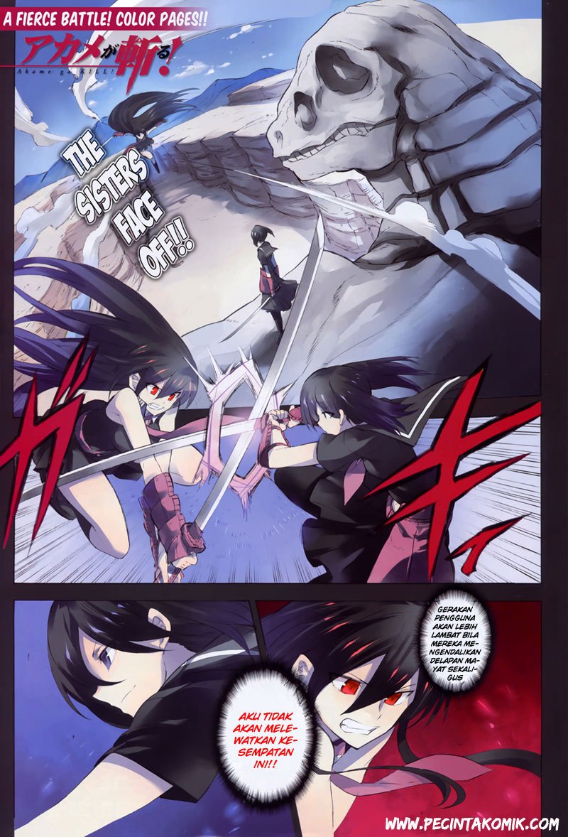 Akame ga KILL! Chapter 30