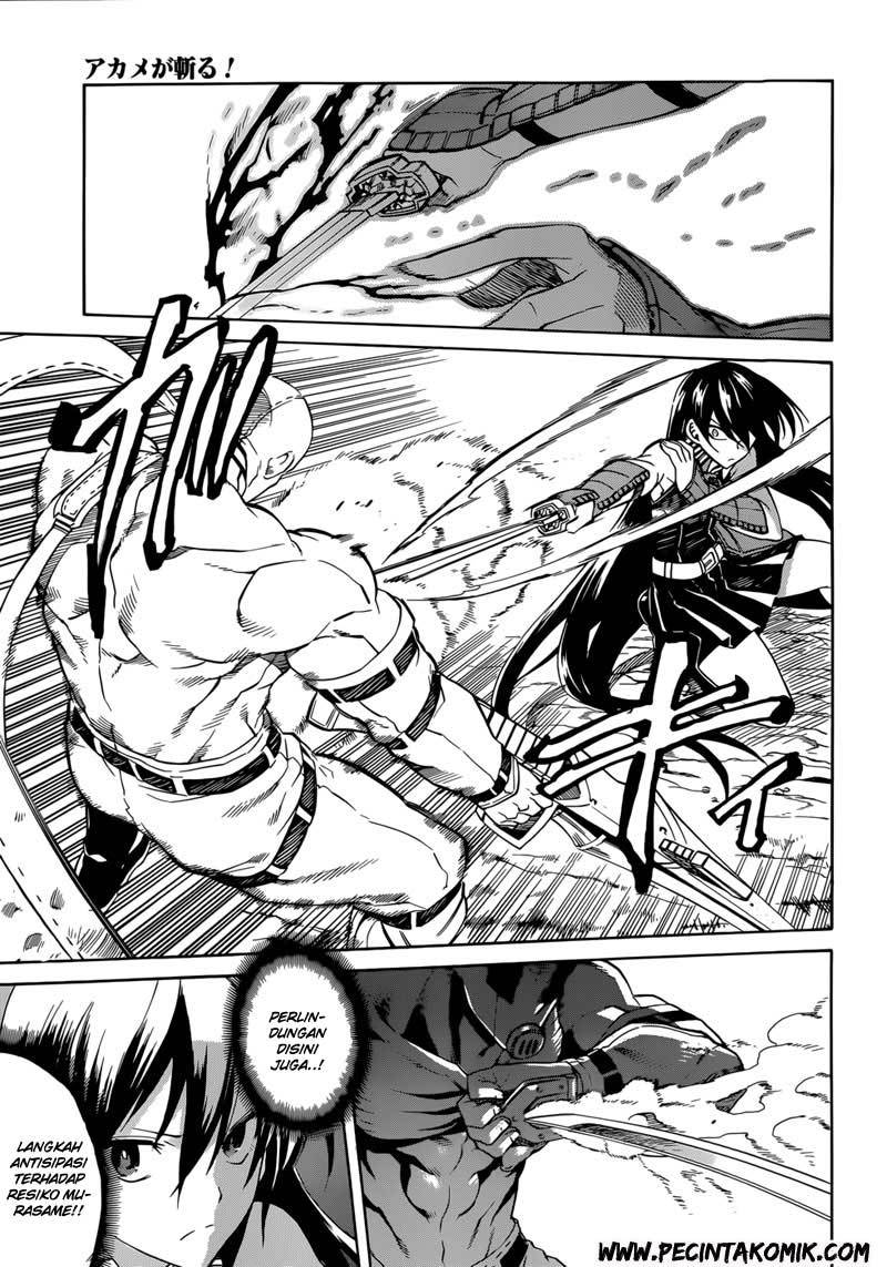 Akame ga KILL! Chapter 31