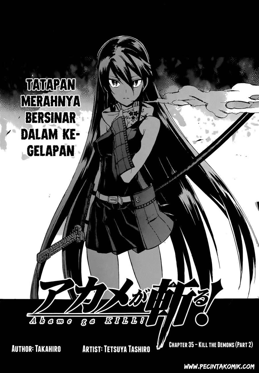 Akame ga KILL! Chapter 36