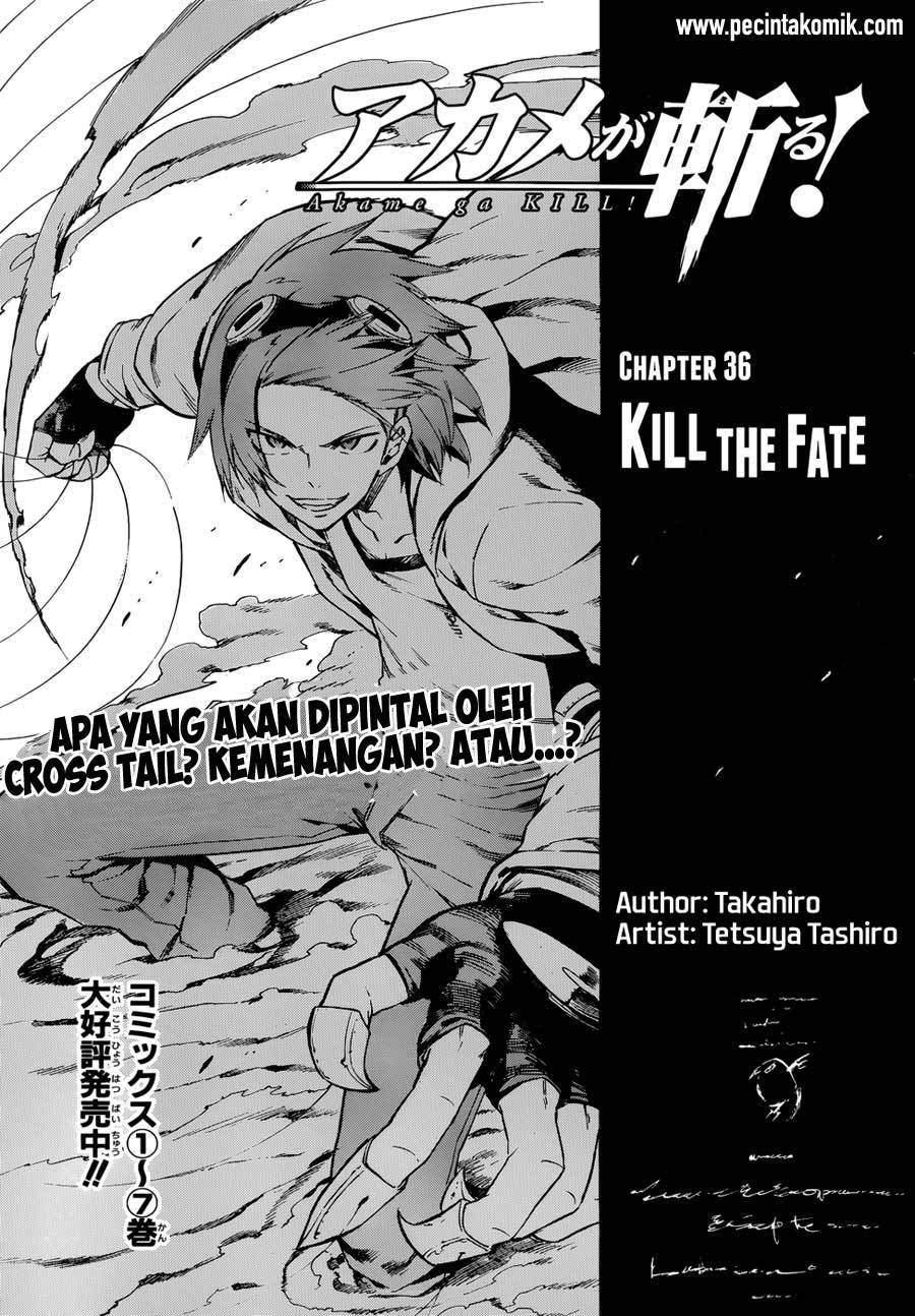 Akame ga KILL! Chapter 37