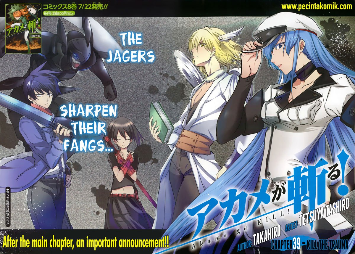 Akame ga KILL! Chapter 40