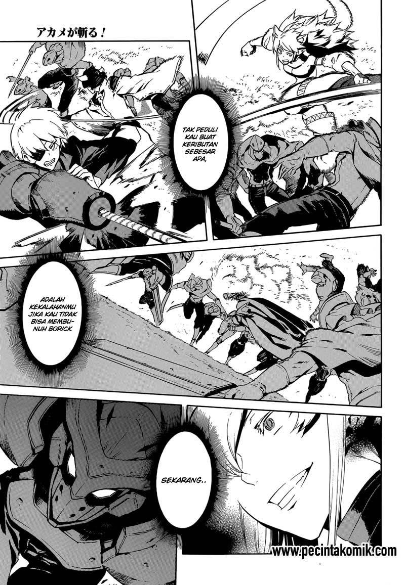 Akame ga KILL! Chapter 41