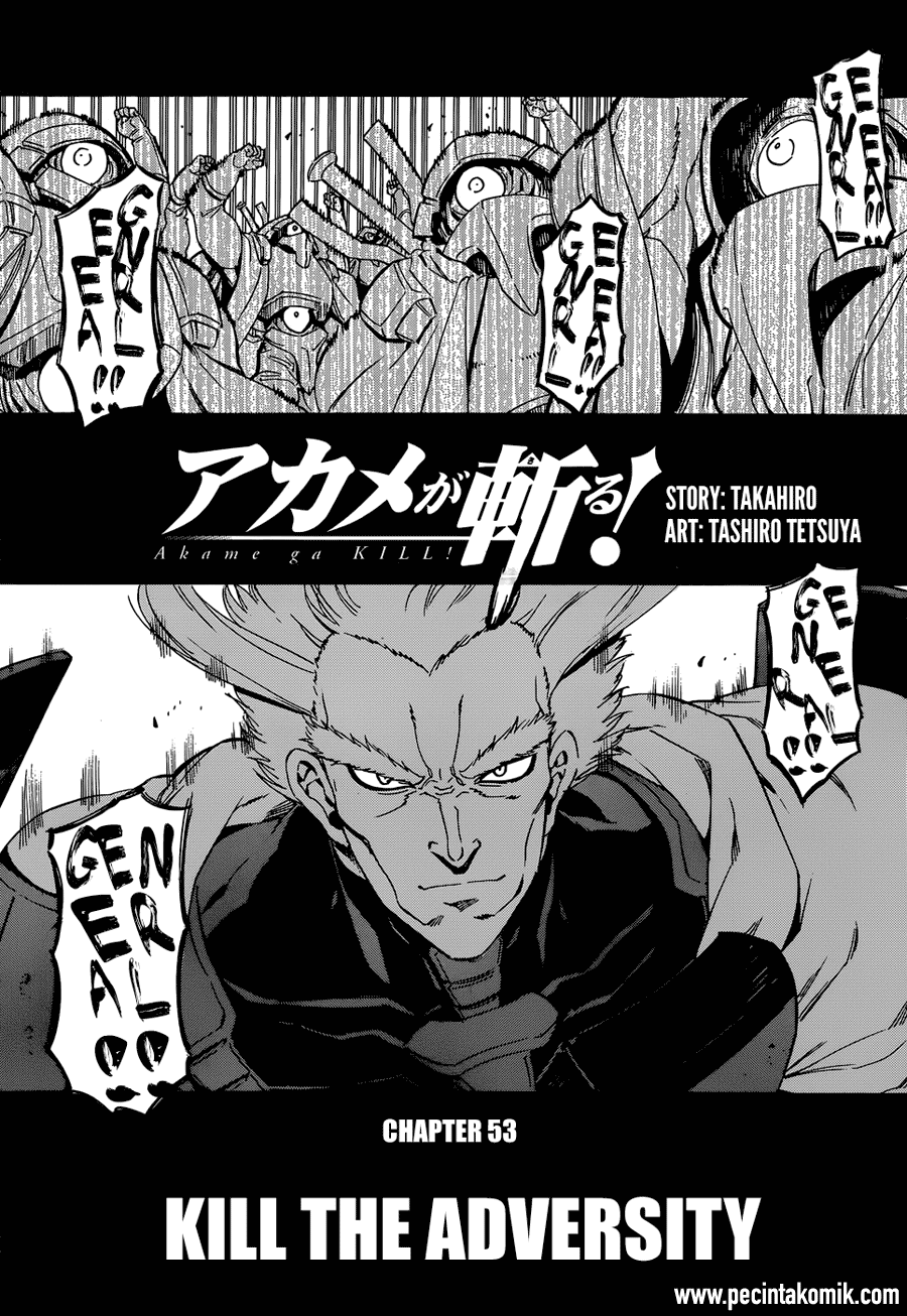 Akame ga KILL! Chapter 53.2