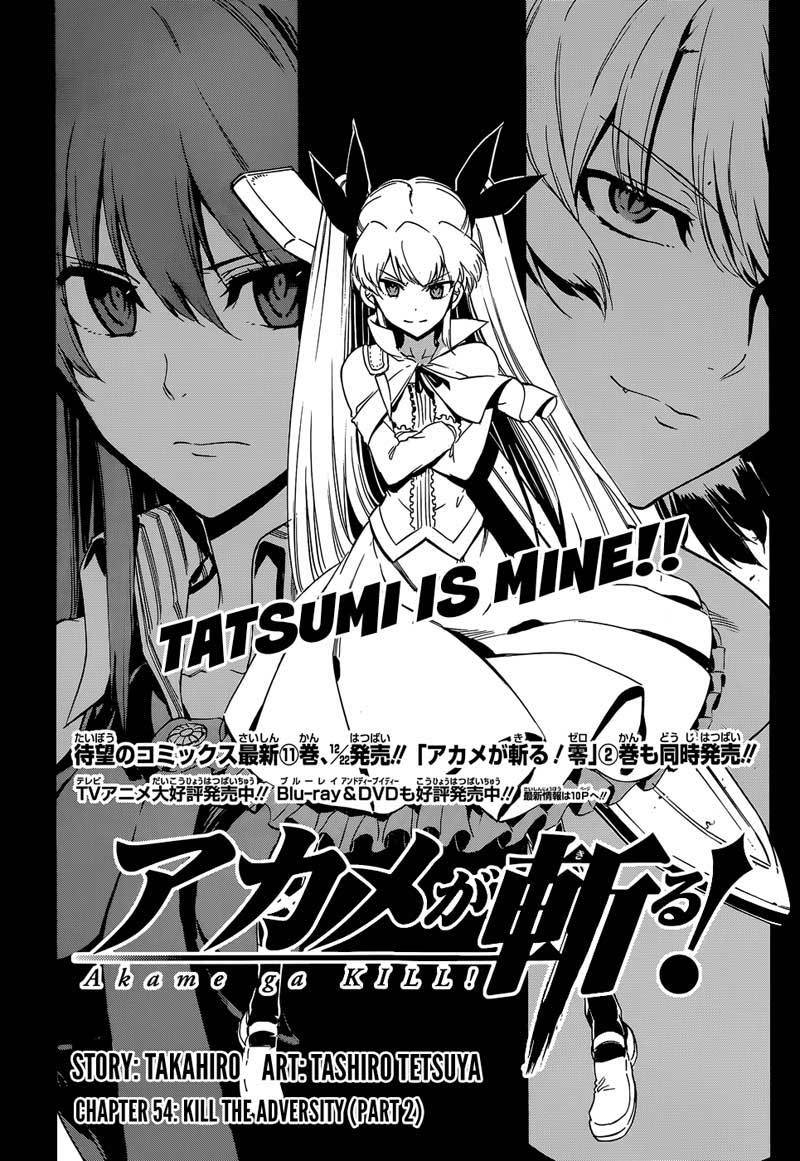 Akame ga KILL! Chapter 54