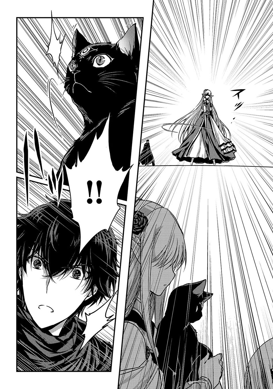 Assassin de Aru Ore no Sutetasu ga Yuusha Yori mo Akiraka ni Tsuyoi Nodaga Chapter 16.2