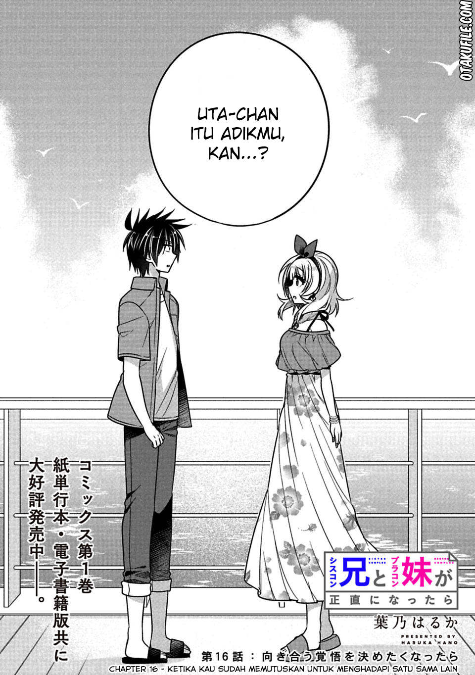 Siscon Ani to Brocon Imouto ga Shoujiki ni Nattara Chapter 16