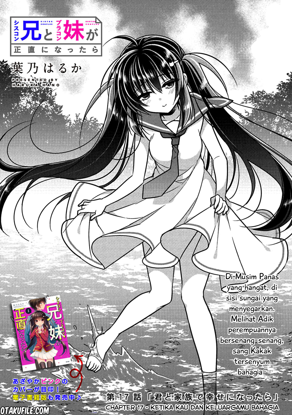 Siscon Ani to Brocon Imouto ga Shoujiki ni Nattara Chapter 17