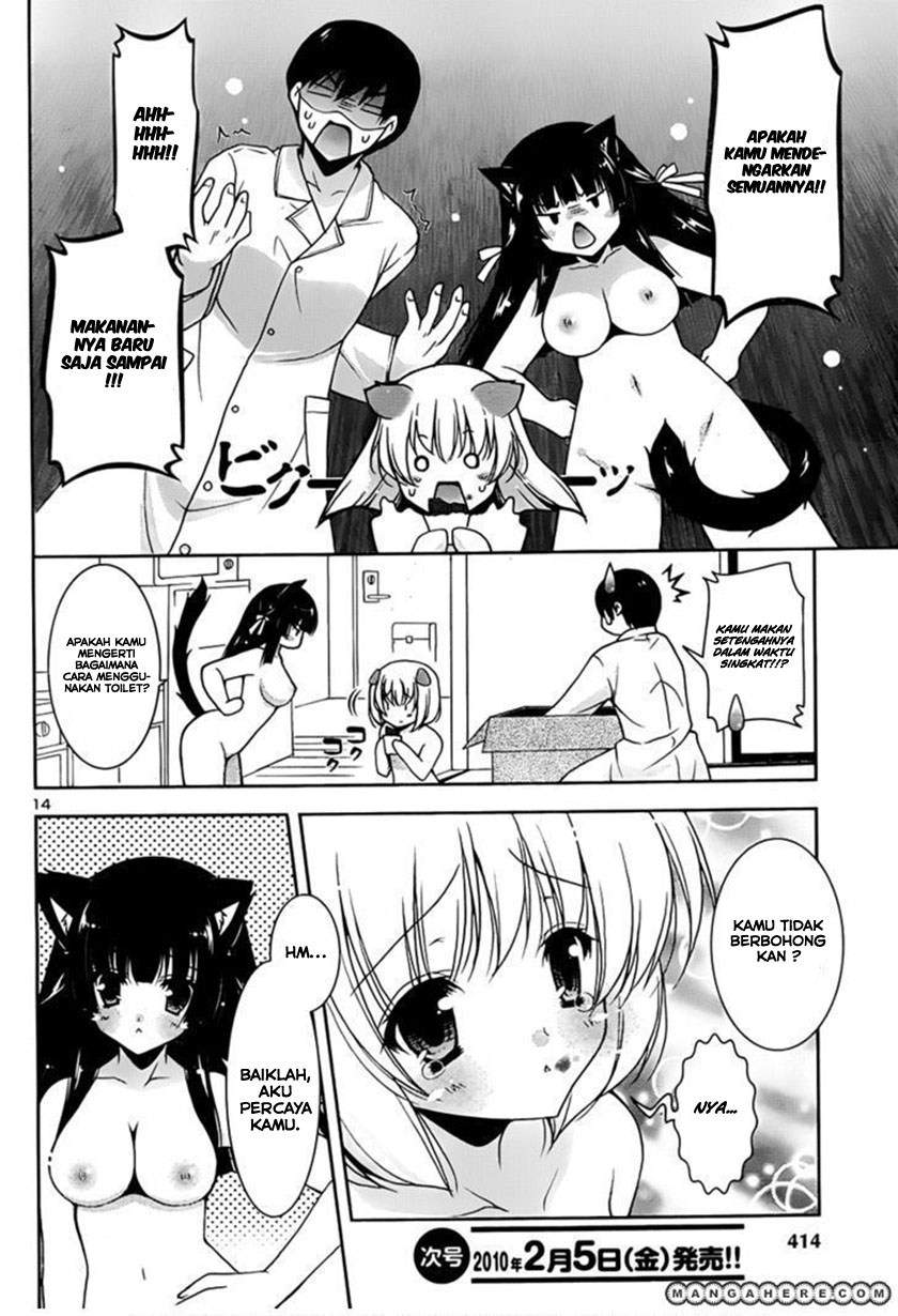 Nyatto! Chapter 4