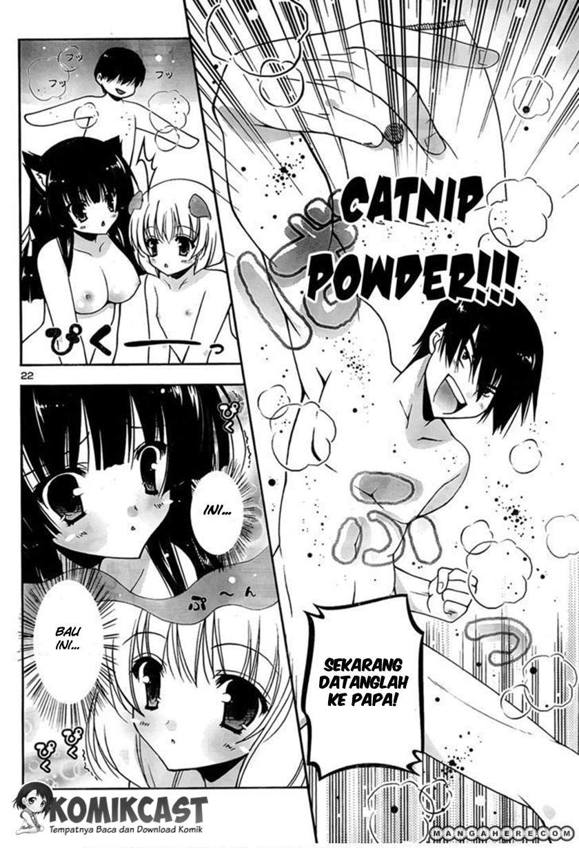 Nyatto! Chapter 4