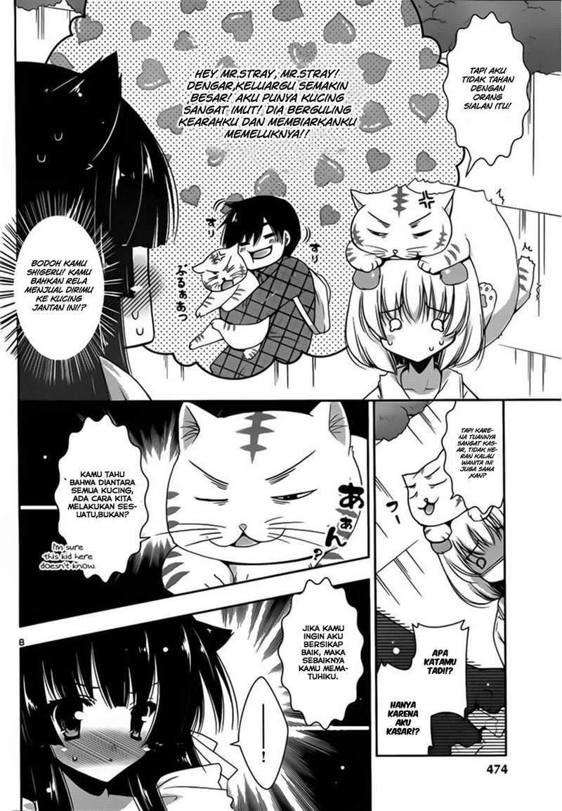 Nyatto! Chapter 5