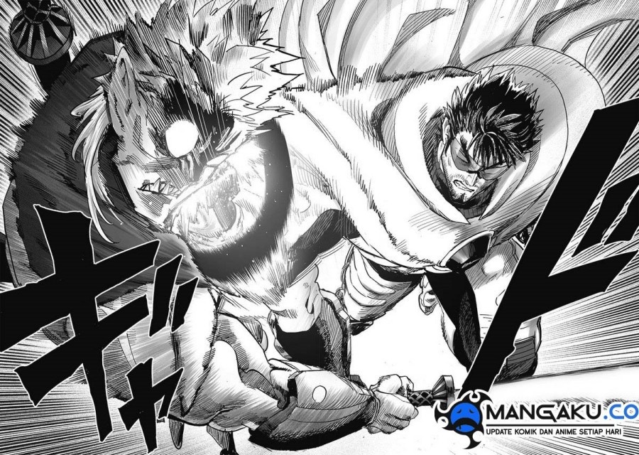 One Punch-Man Chapter 256