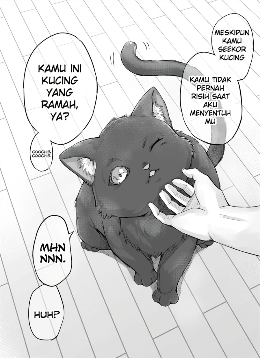 The Yandere Pet Cat is Overly Domineering Chapter 2