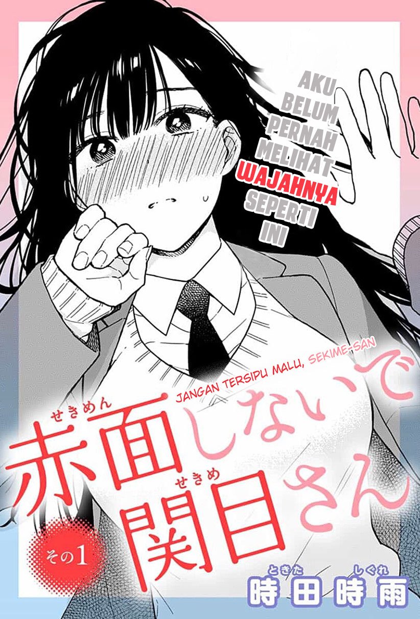 Sekimen Shinaide Sekime-san Chapter 1