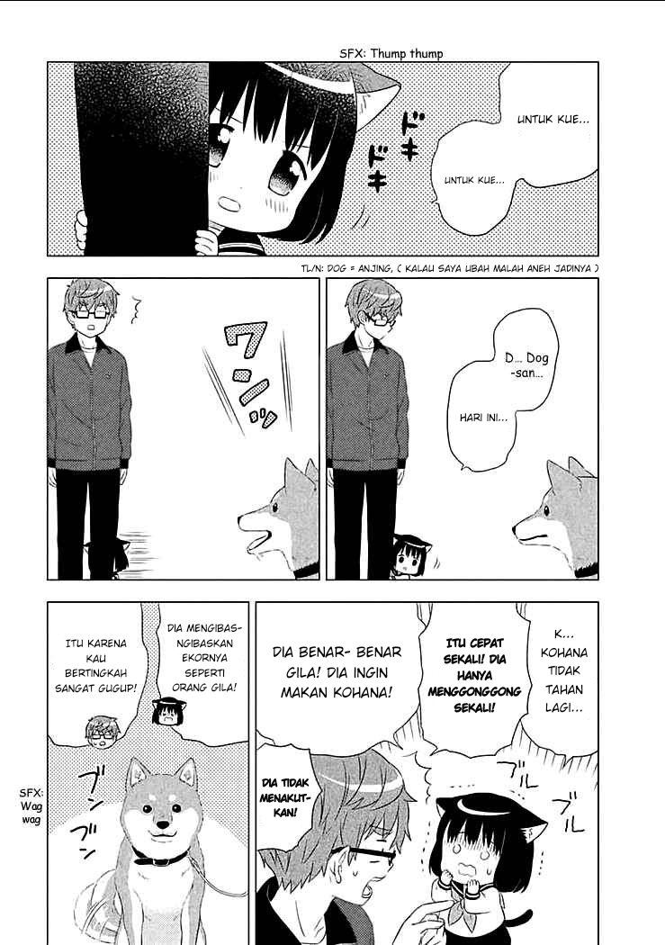 Neko no Kohana Chapter 3