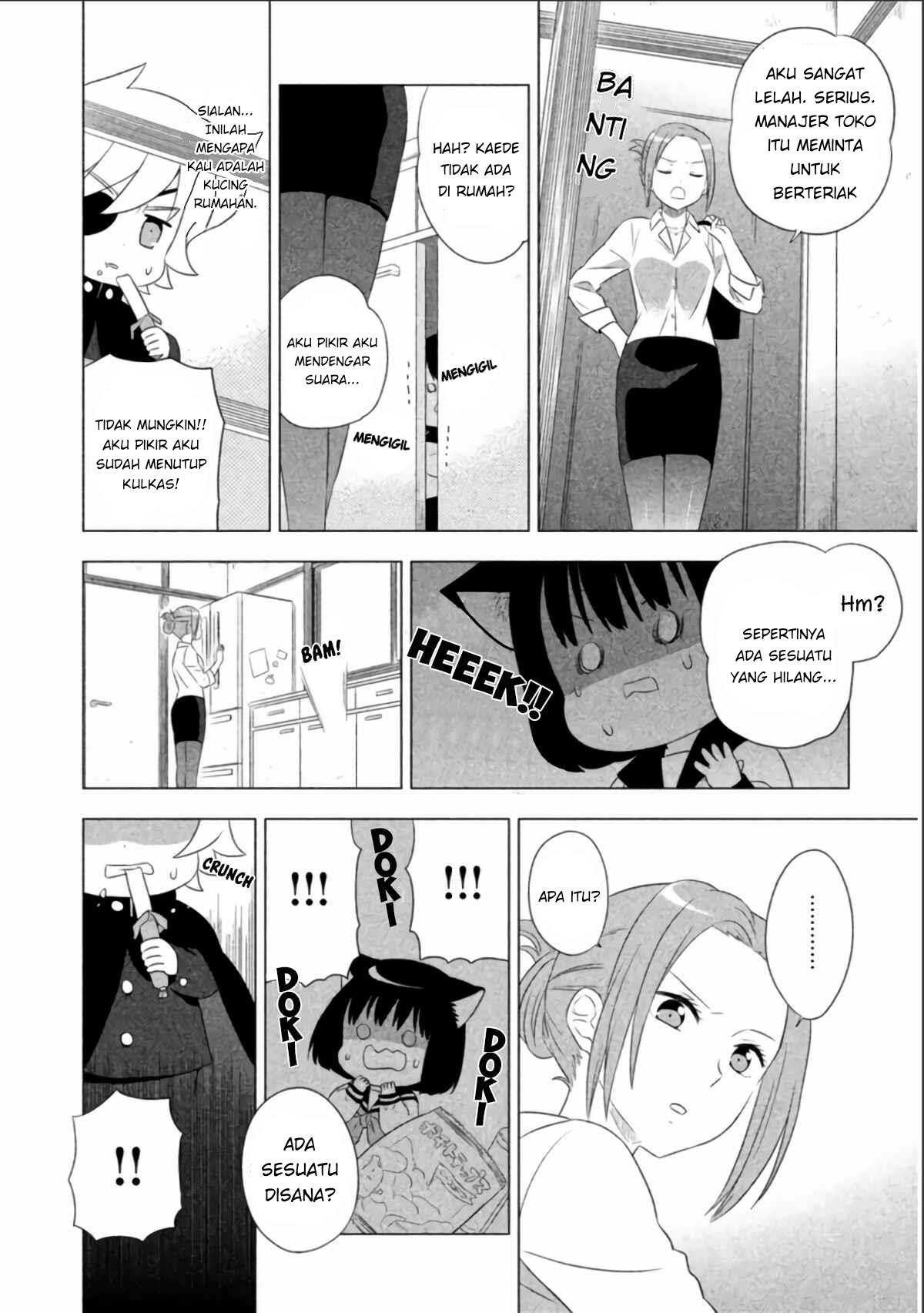 Neko no Kohana Chapter 4