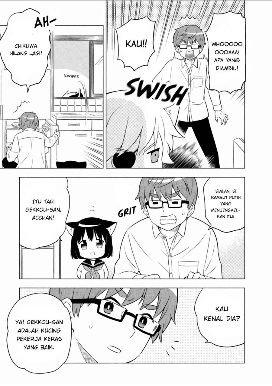 Neko no Kohana Chapter 8