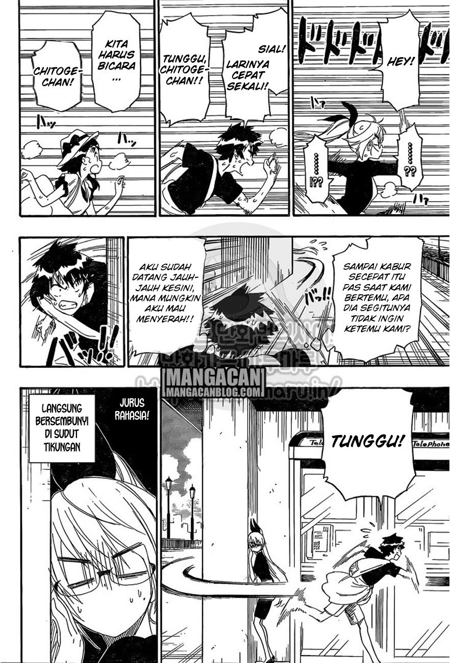 Nisekoi Chapter 215