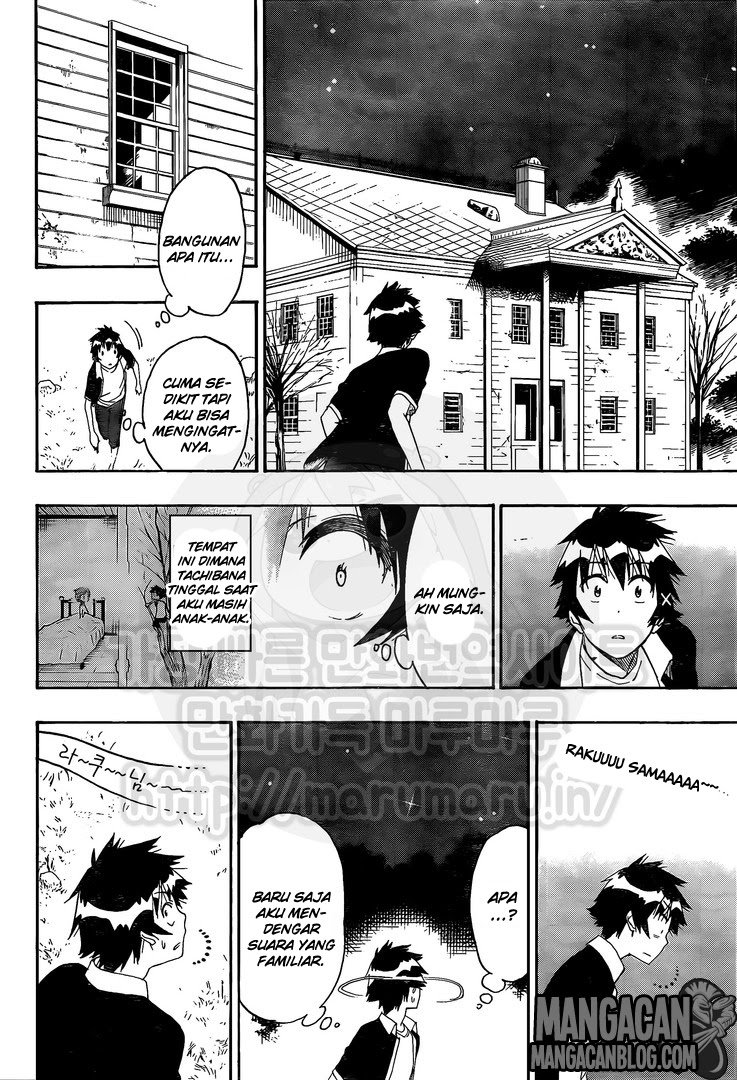 Nisekoi Chapter 219