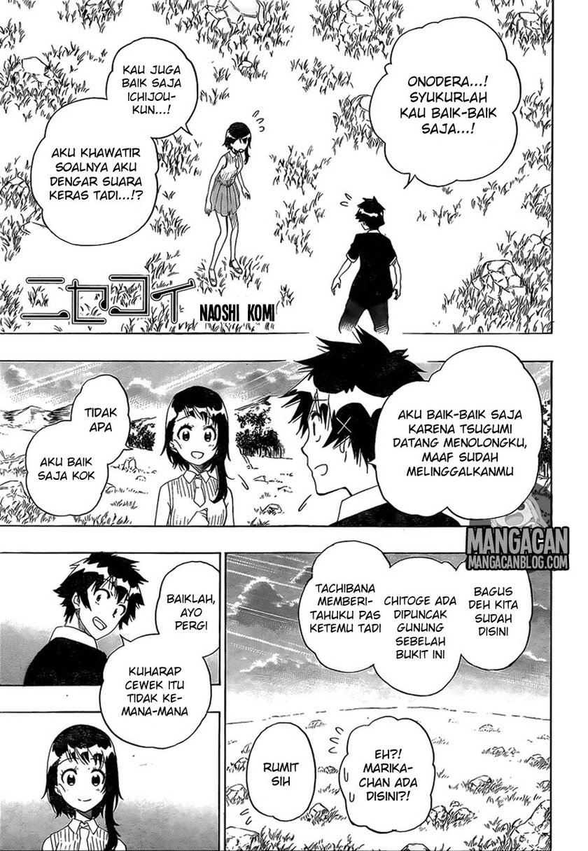 Nisekoi Chapter 225