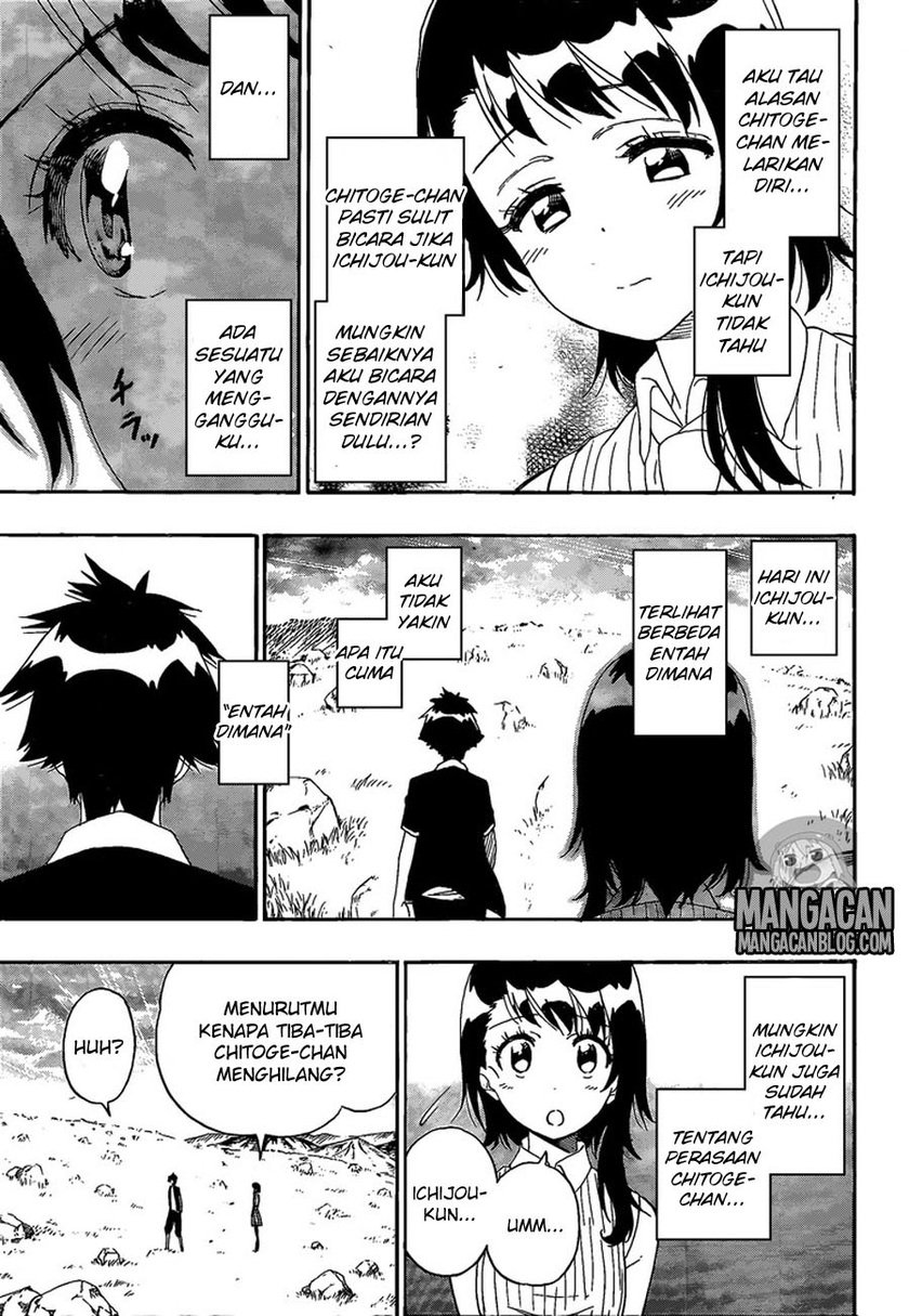 Nisekoi Chapter 225