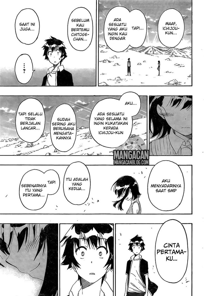 Nisekoi Chapter 225