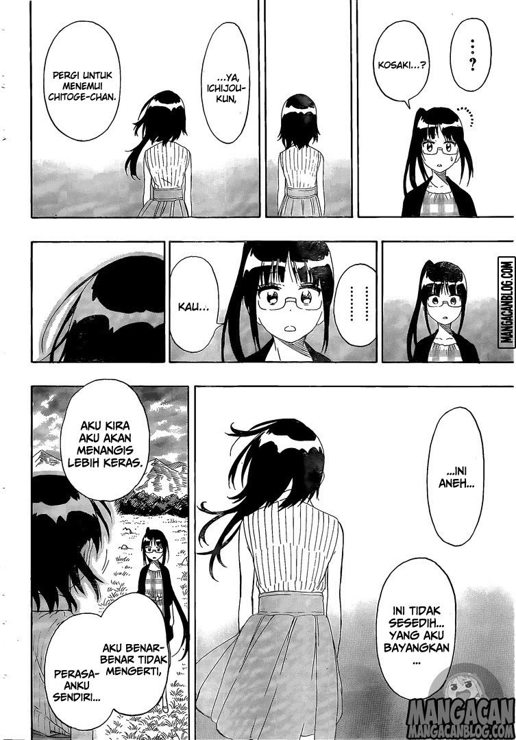 Nisekoi Chapter 226