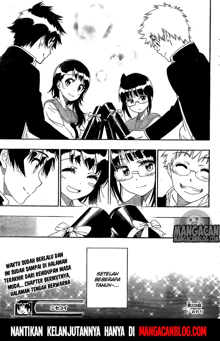 Nisekoi Chapter 228