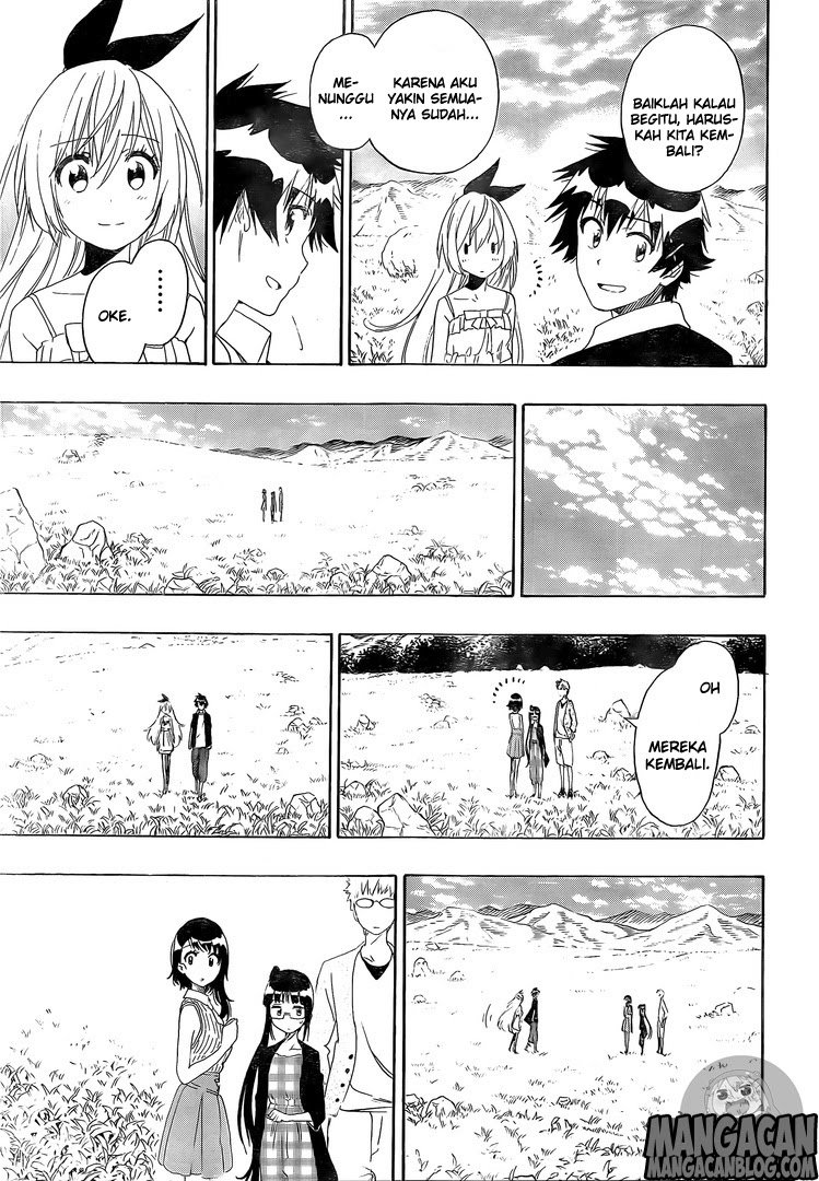 Nisekoi Chapter 228