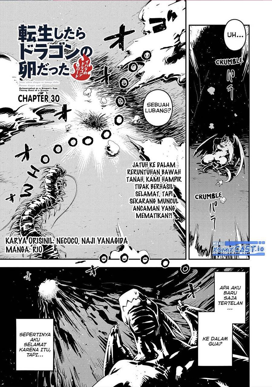 Tensei Shitara Dragon no Tamago Datta – Ibara no Dragon Road Chapter 30