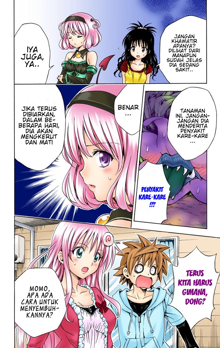 To Love Ru Chapter 124