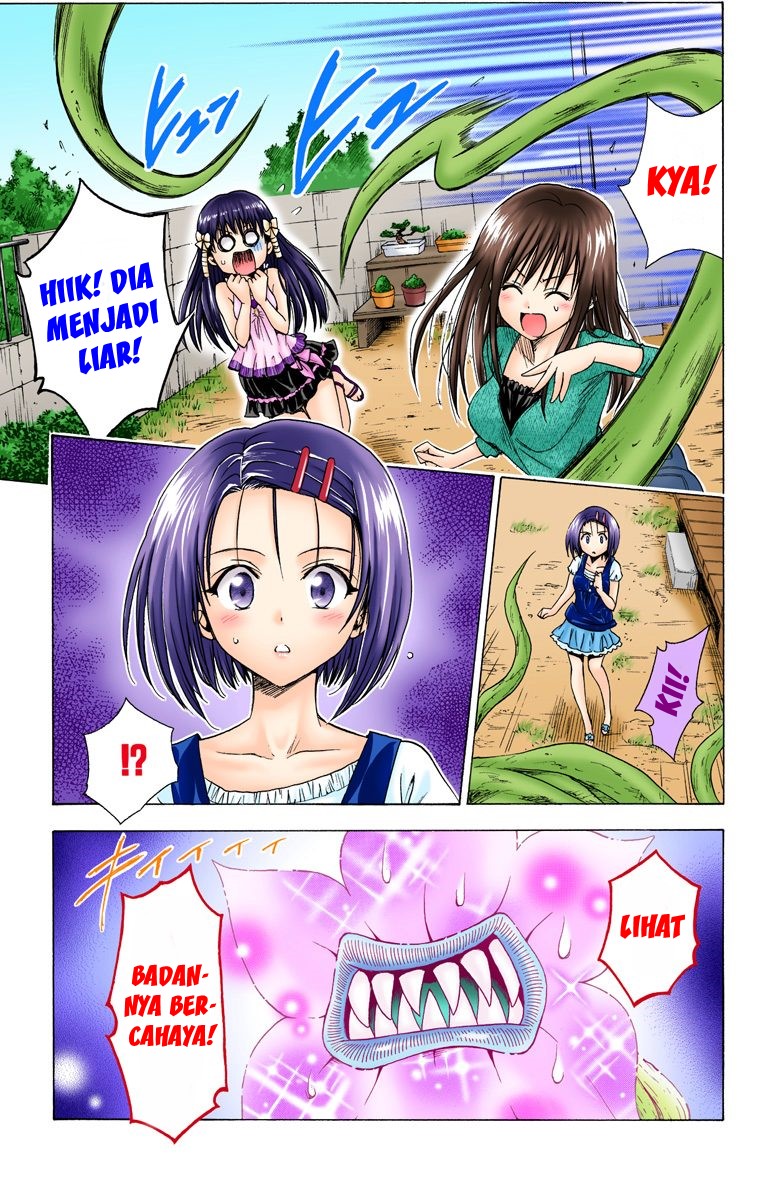 To Love Ru Chapter 127