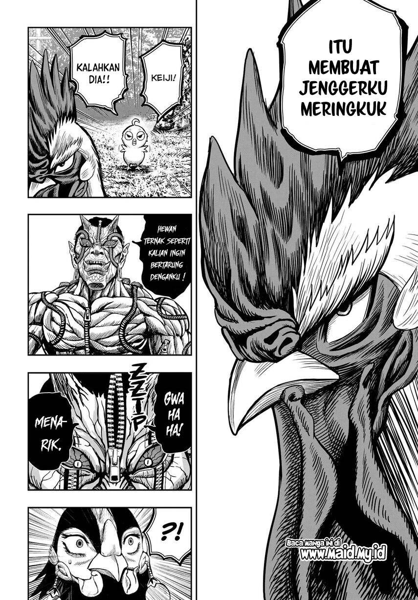 Rooster Fighter Chapter 10