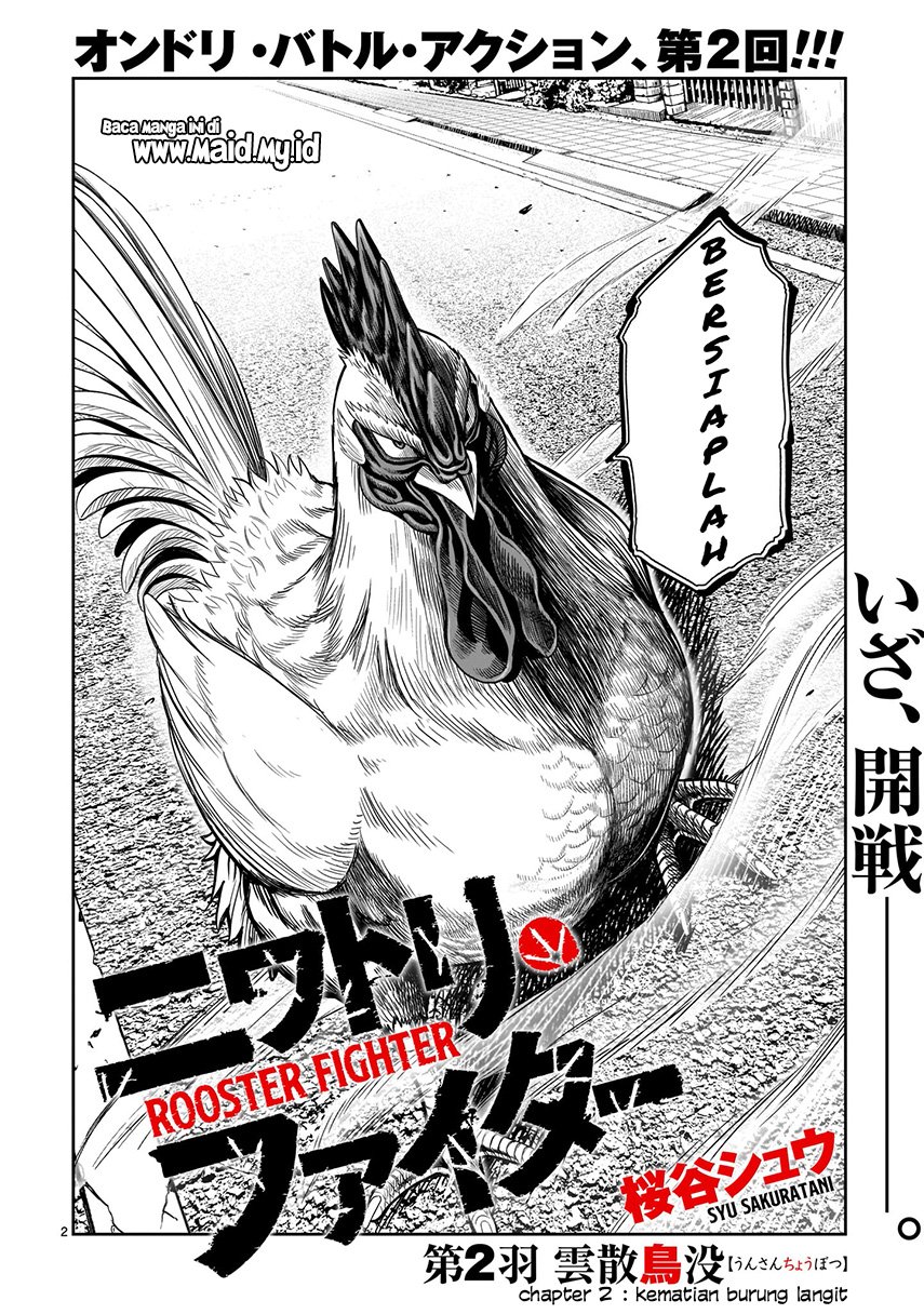 Rooster Fighter Chapter 2