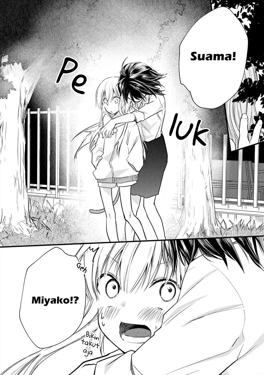 Koneko ♂ ga Matterunode Kaerimasu. Chapter 11