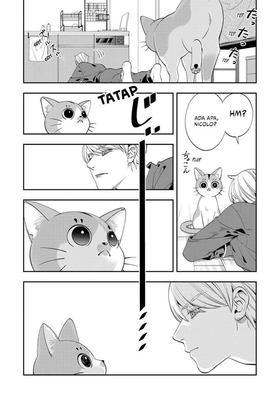 Miyaou Tarou ga Neko wo Kau Nante Chapter 2