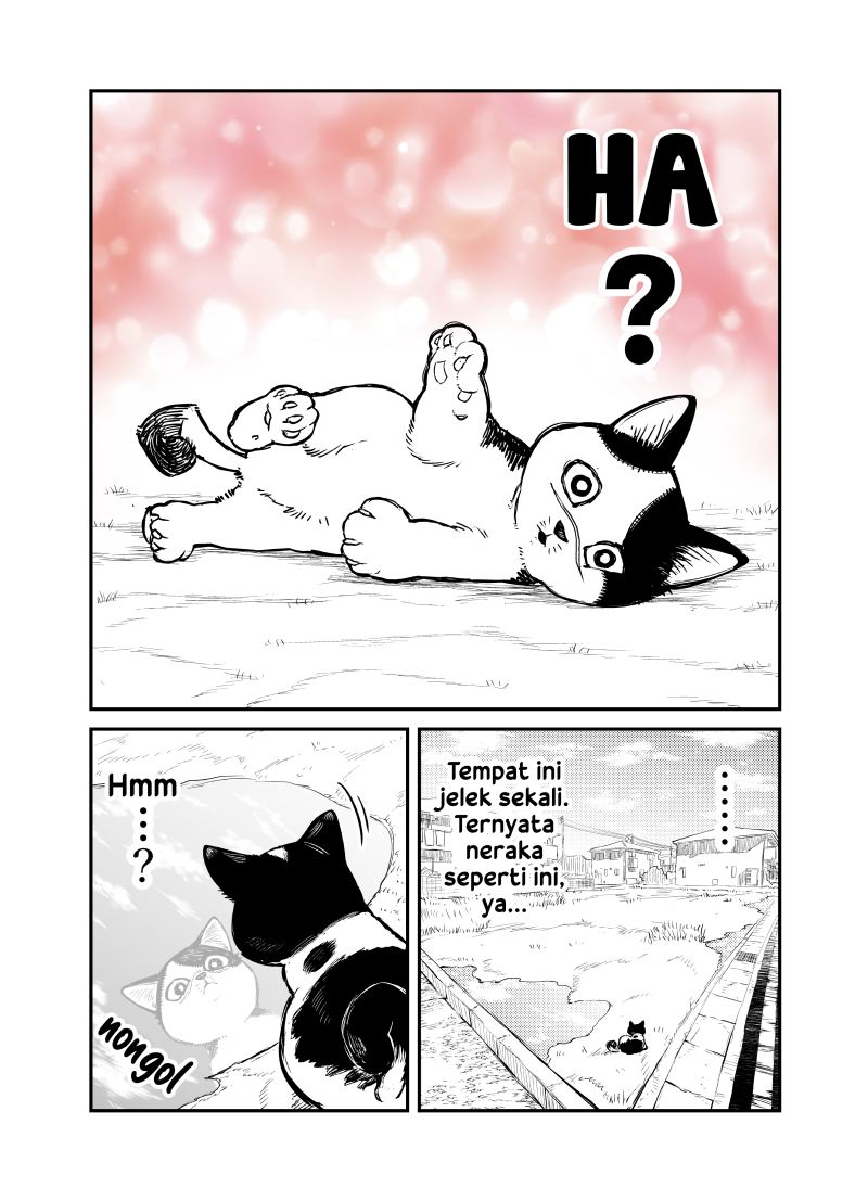 Kumicho, neko ni naru Chapter 1