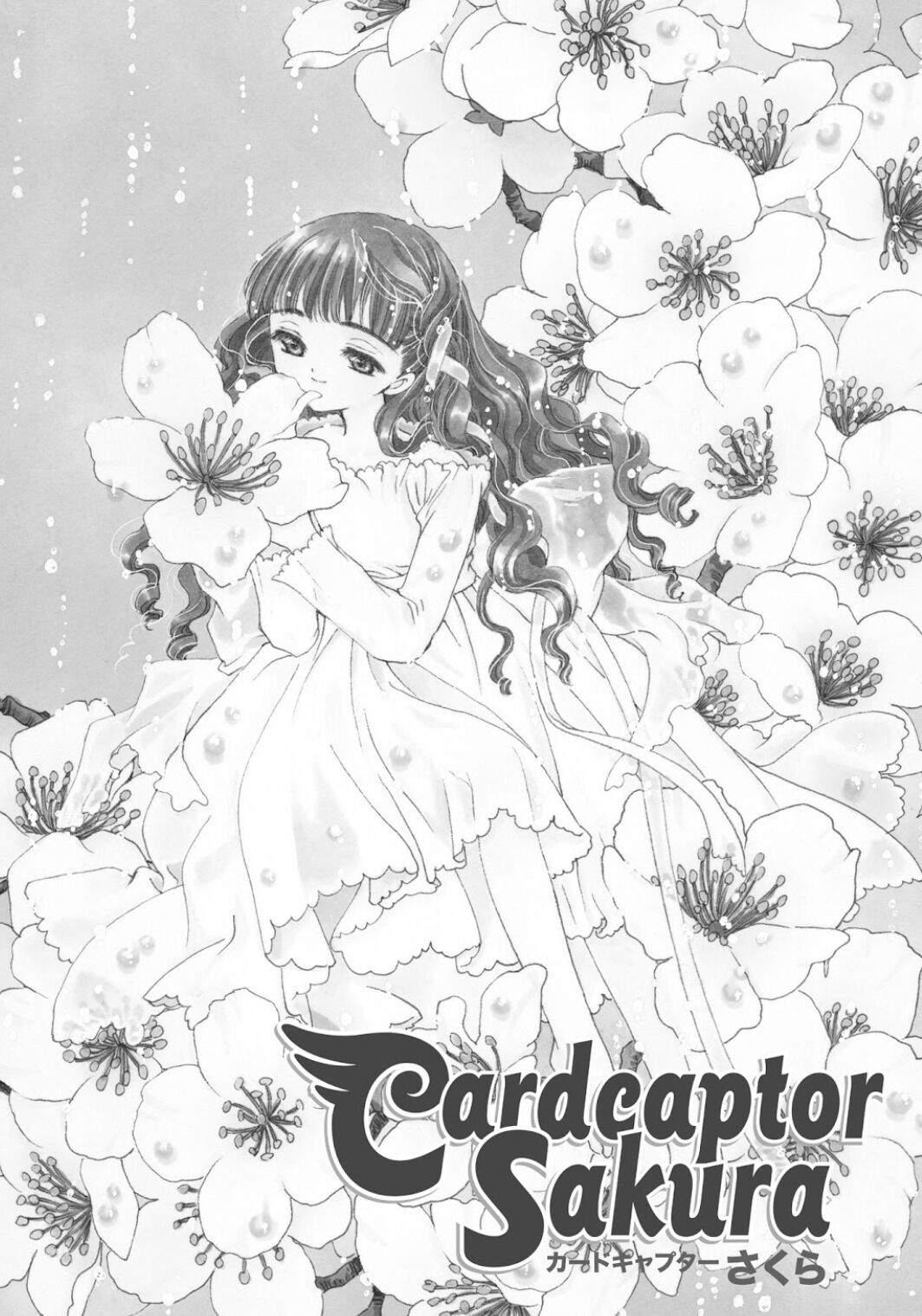 Cardcaptor Sakura Chapter 38