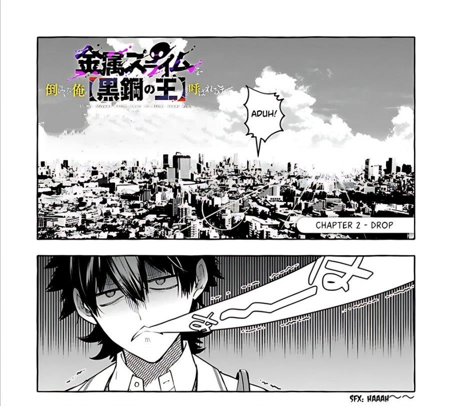 Kinzoku Slime wo Taoshi Makutta Ore ga “Kurokou no Ou” to Yobareru Made Chapter 2