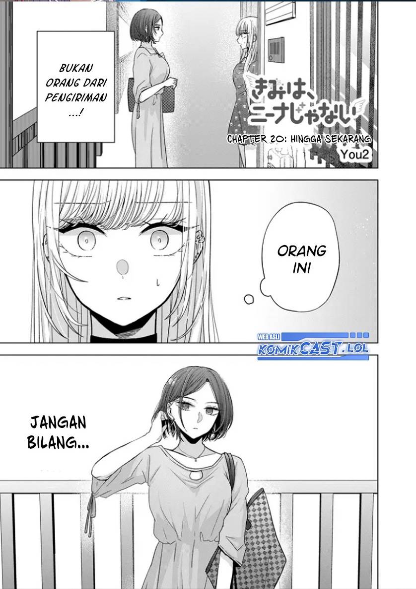 Kimi wa, Nina Janai Chapter 20