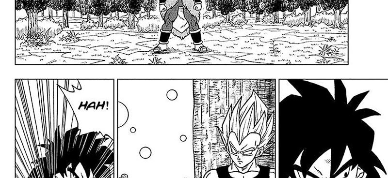 Dragon Ball Super Chapter 101