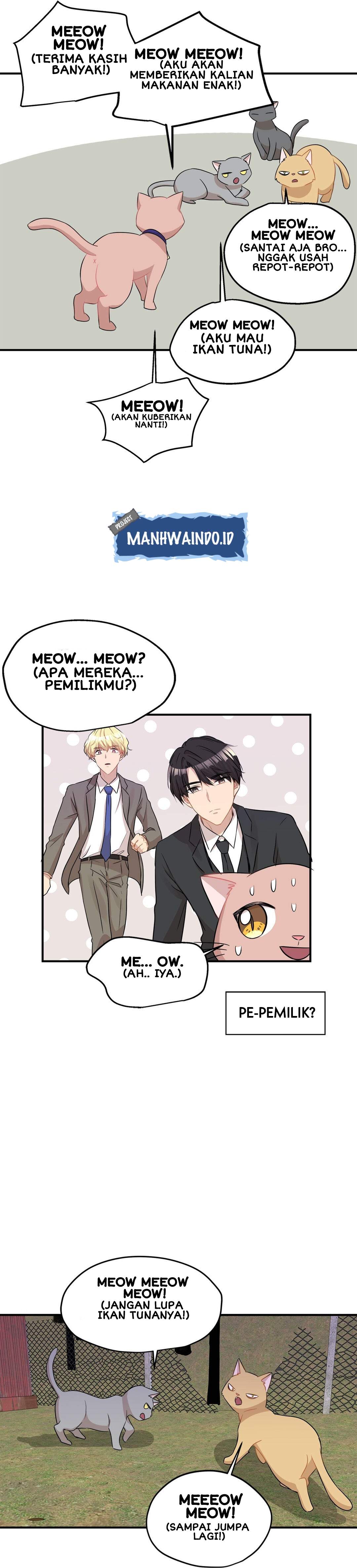 Just for a Meowment Chapter 26