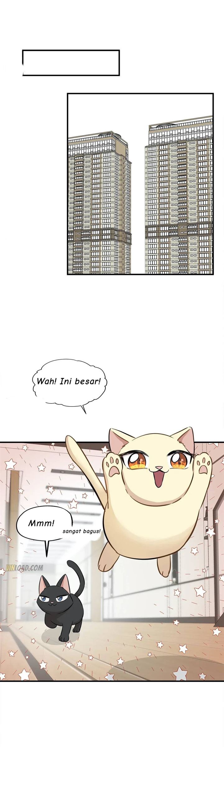 Just for a Meowment Chapter 64