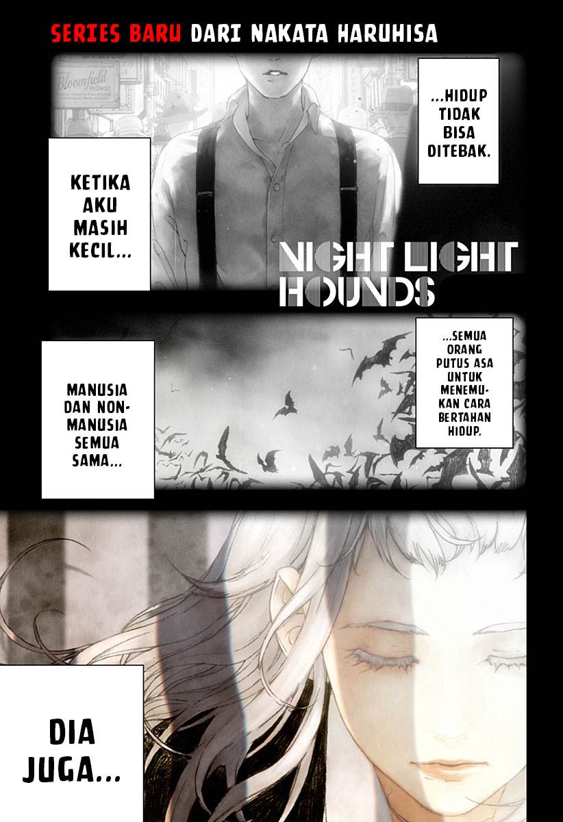 Night Light Hounds Chapter 1