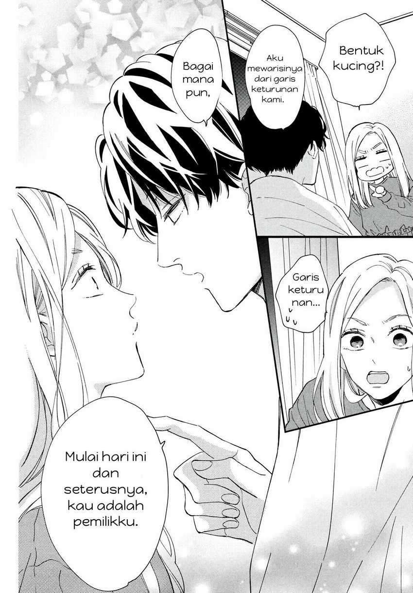 Neko to Kiss Chapter 1