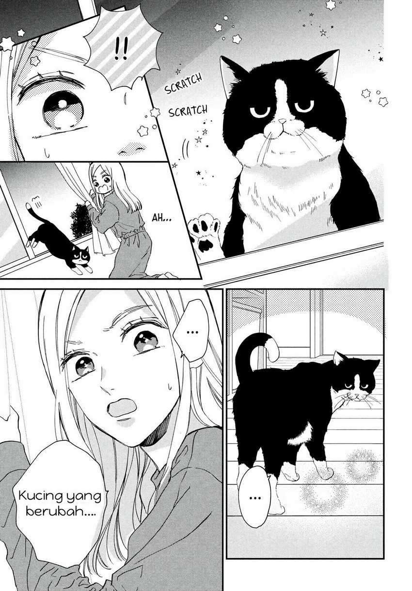 Neko to Kiss Chapter 1