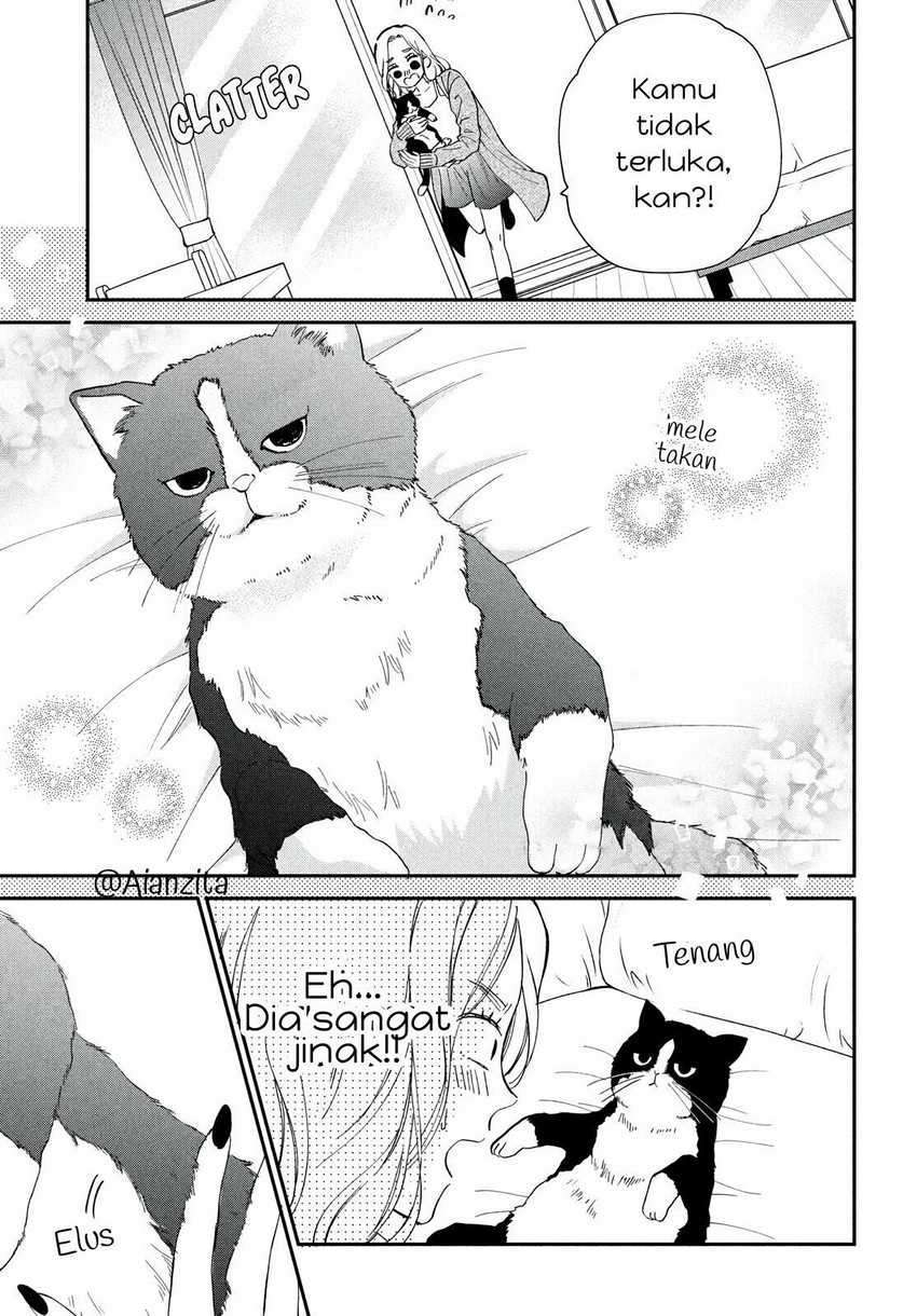 Neko to Kiss Chapter 1