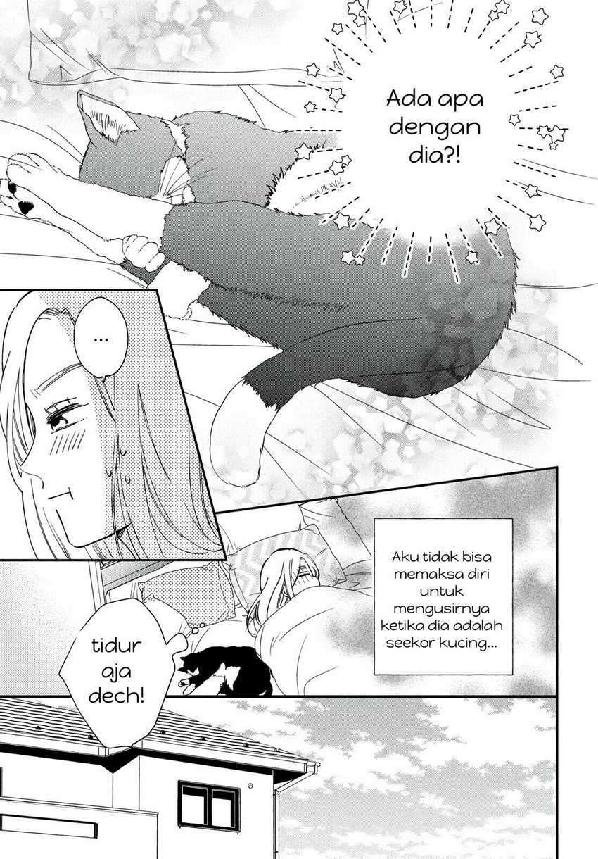 Neko to Kiss Chapter 1