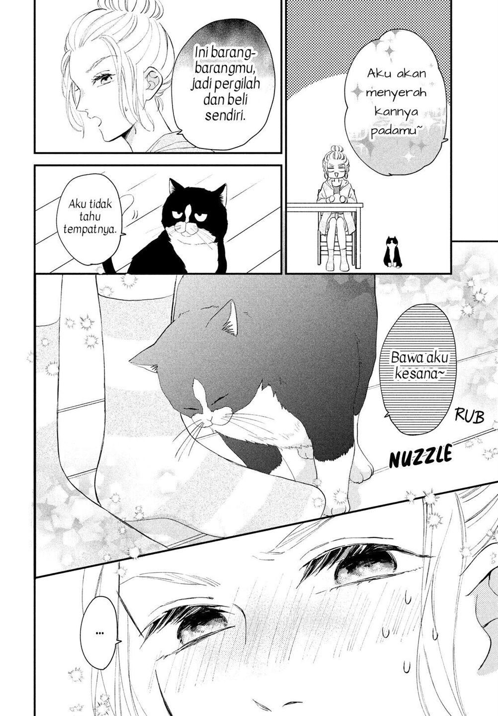 Neko to Kiss Chapter 4